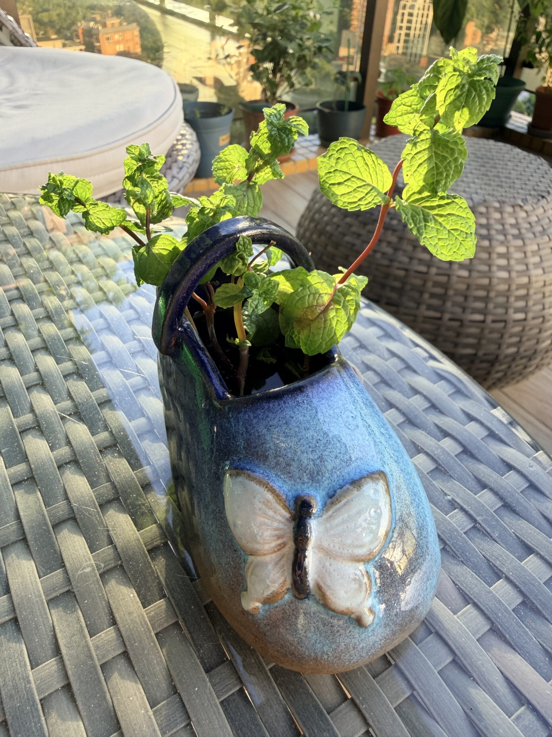 薄荷